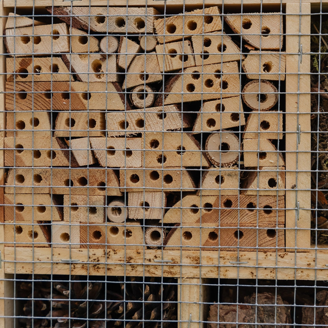 Hôtel à insectes, naturel, L : 12 cm l : 38 cm H : 43 cm