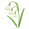 Fleurs de printemps