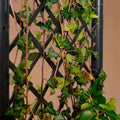 Jardinière avec treillis