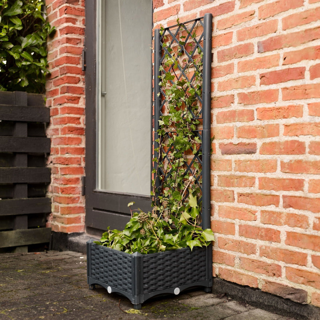 Jardinière avec treillis