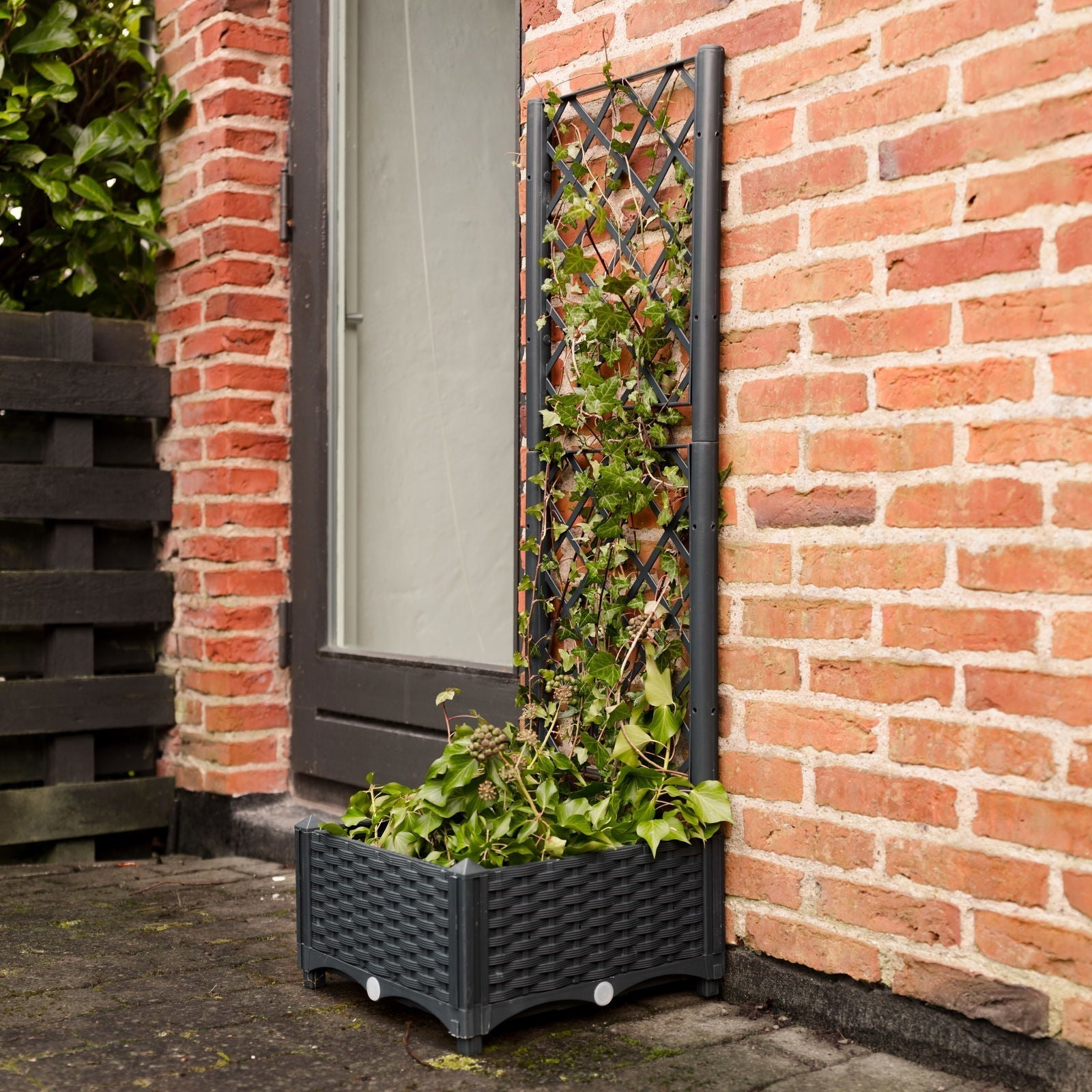Jardinière avec treillis