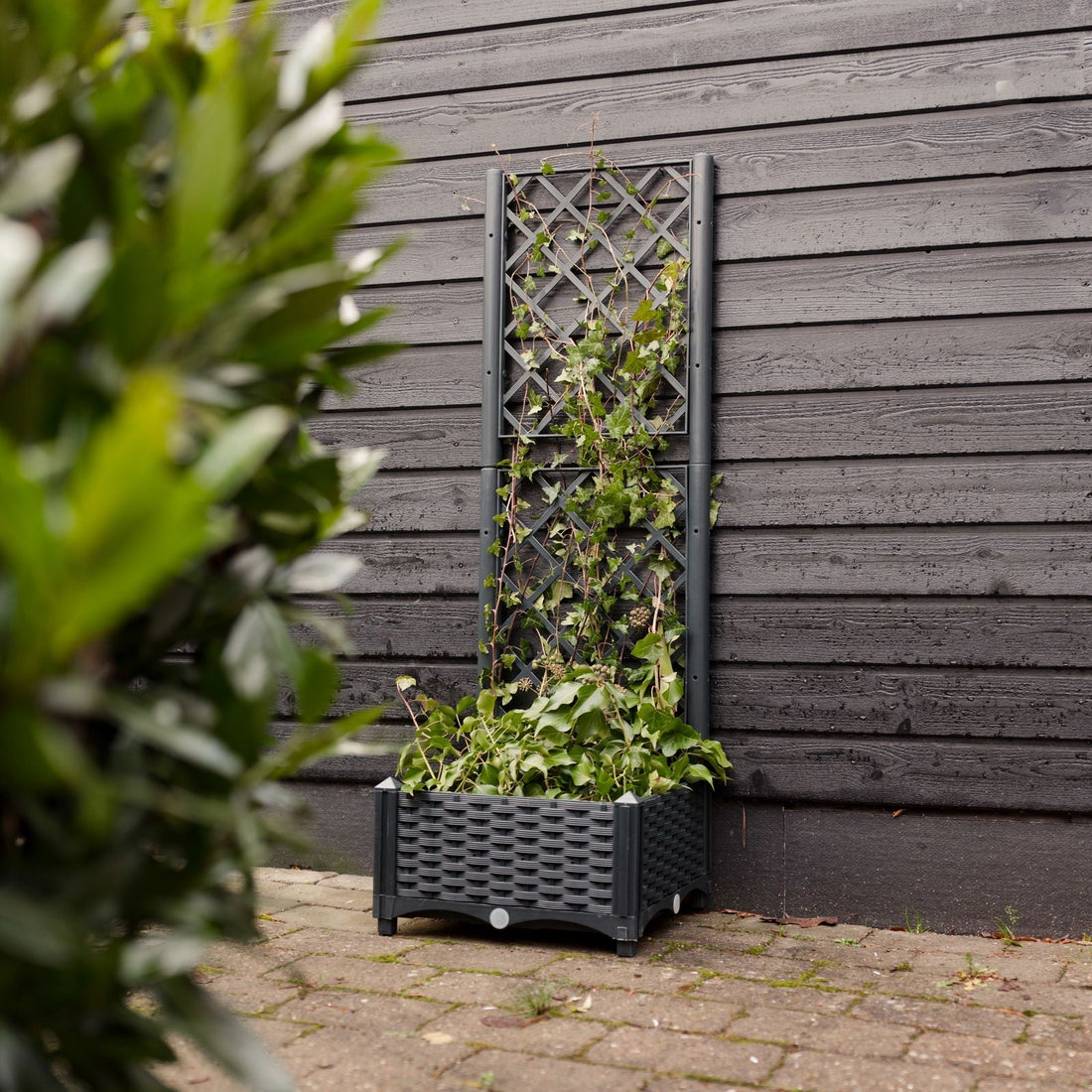 Jardinière avec treillis