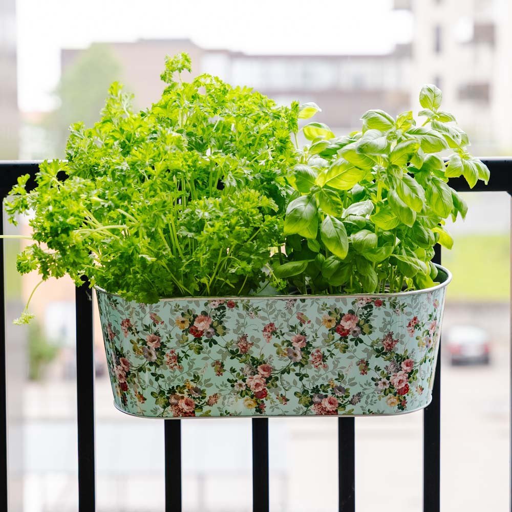 Jardinière de balcon avec crochet, L : 39,3 cm l : 28,9 cm H : 26,2 cm