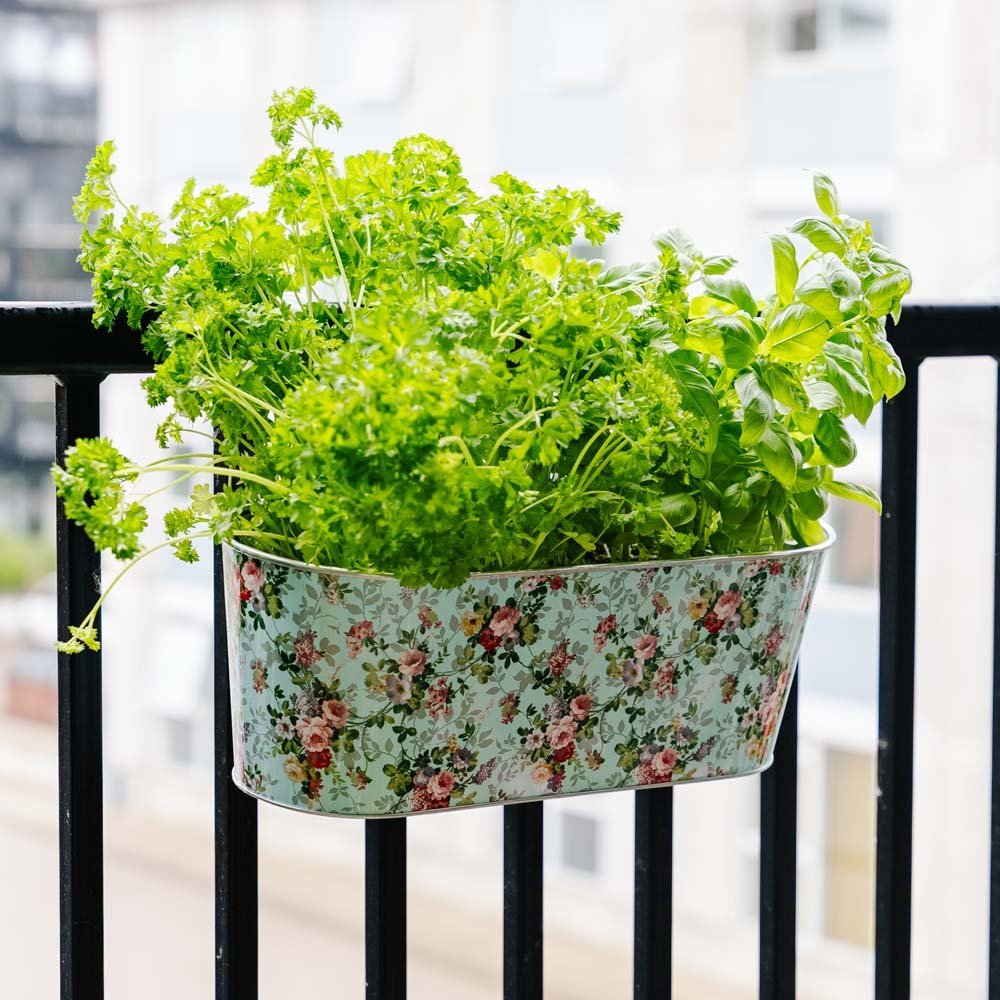 Jardinière de balcon avec crochet, L : 39,3 cm l : 28,9 cm H : 26,2 cm
