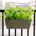 Jardinière en zinc pour balcon, L : 40 cm l : 16 cm H : 16 cm