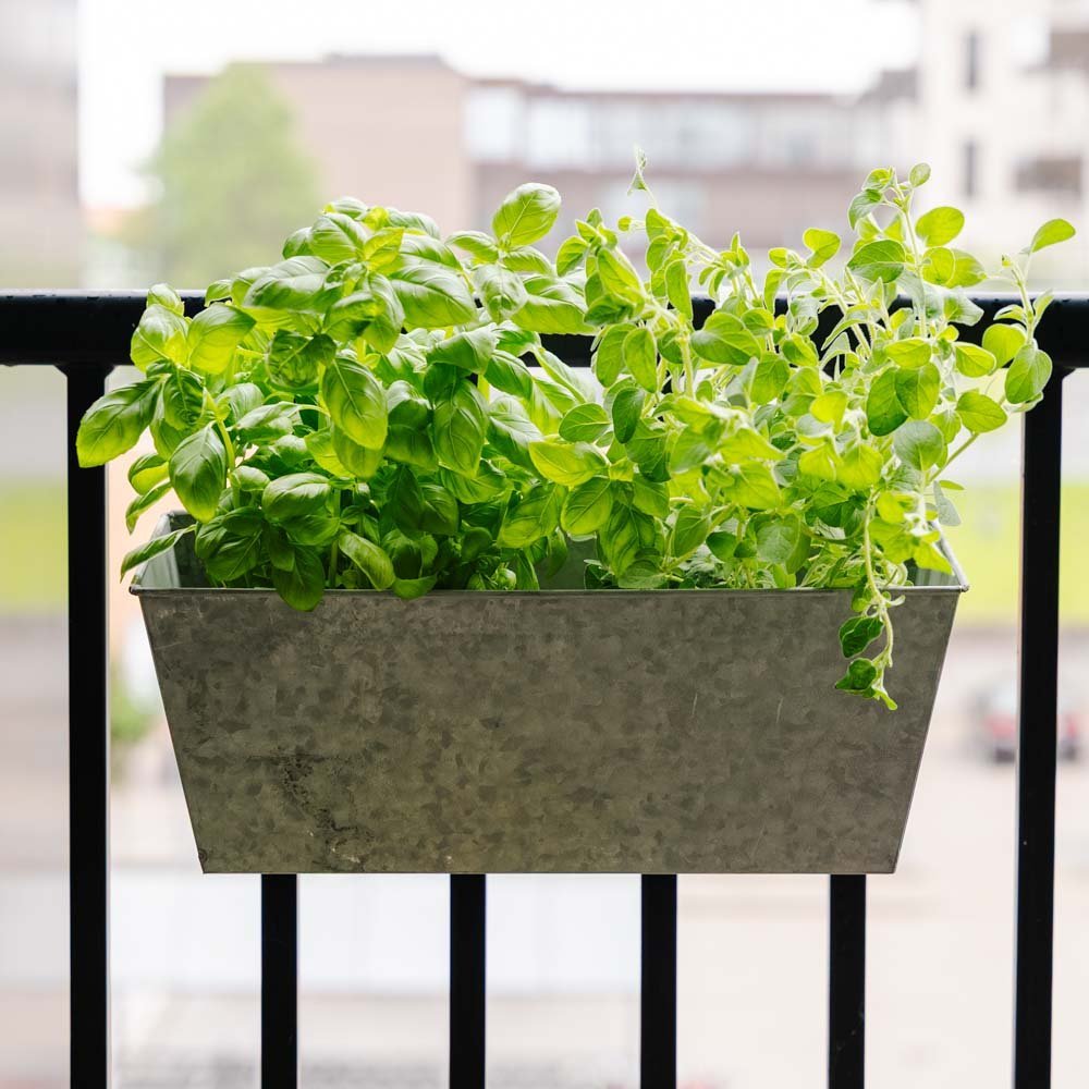 Jardinière en zinc pour balcon, L : 40 cm l : 16 cm H : 16 cm