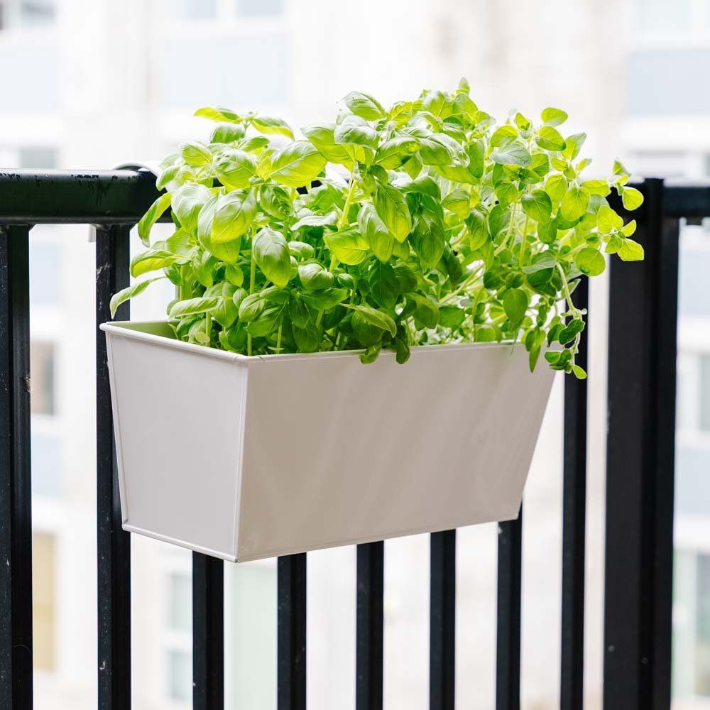 Jardinière rectangulaire pour balcon, L : 40 cm l : 16 cm H : 16 cm