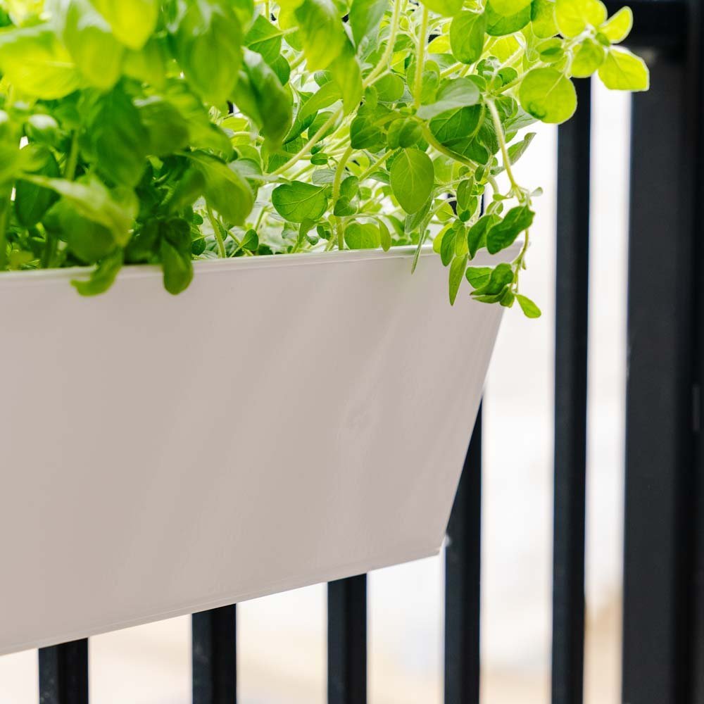 Jardinière rectangulaire pour balcon, L : 40 cm l : 16 cm H : 16 cm