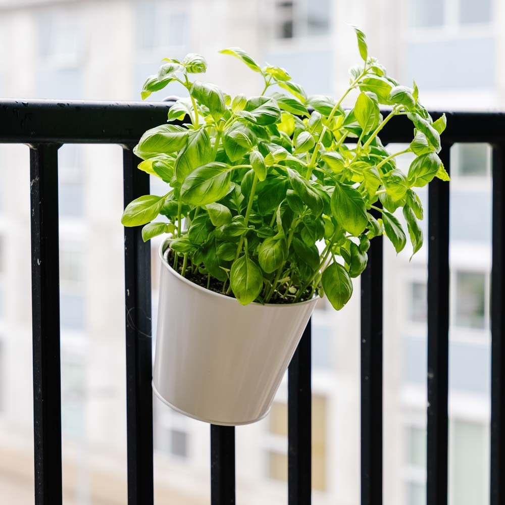 Jardinière ronde pour balcon, L : 24,5 cm l : 16,2 cm H : 25,2 cm