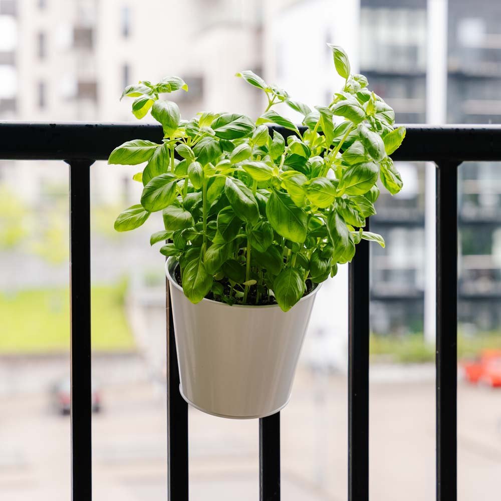 Jardinière ronde pour balcon, L : 24,5 cm l : 16,2 cm H : 25,2 cm