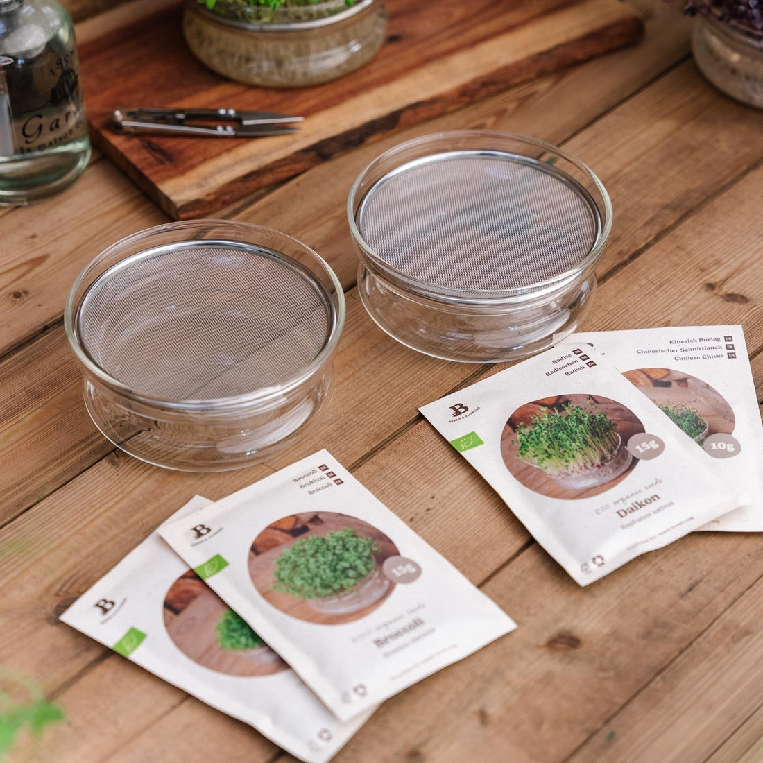 Kit concours de micro - pousses avec coupelle de germination - 4 sachets de graines biologiques