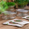 Kit concours de micro - pousses avec coupelle de germination - 4 sachets de graines biologiques