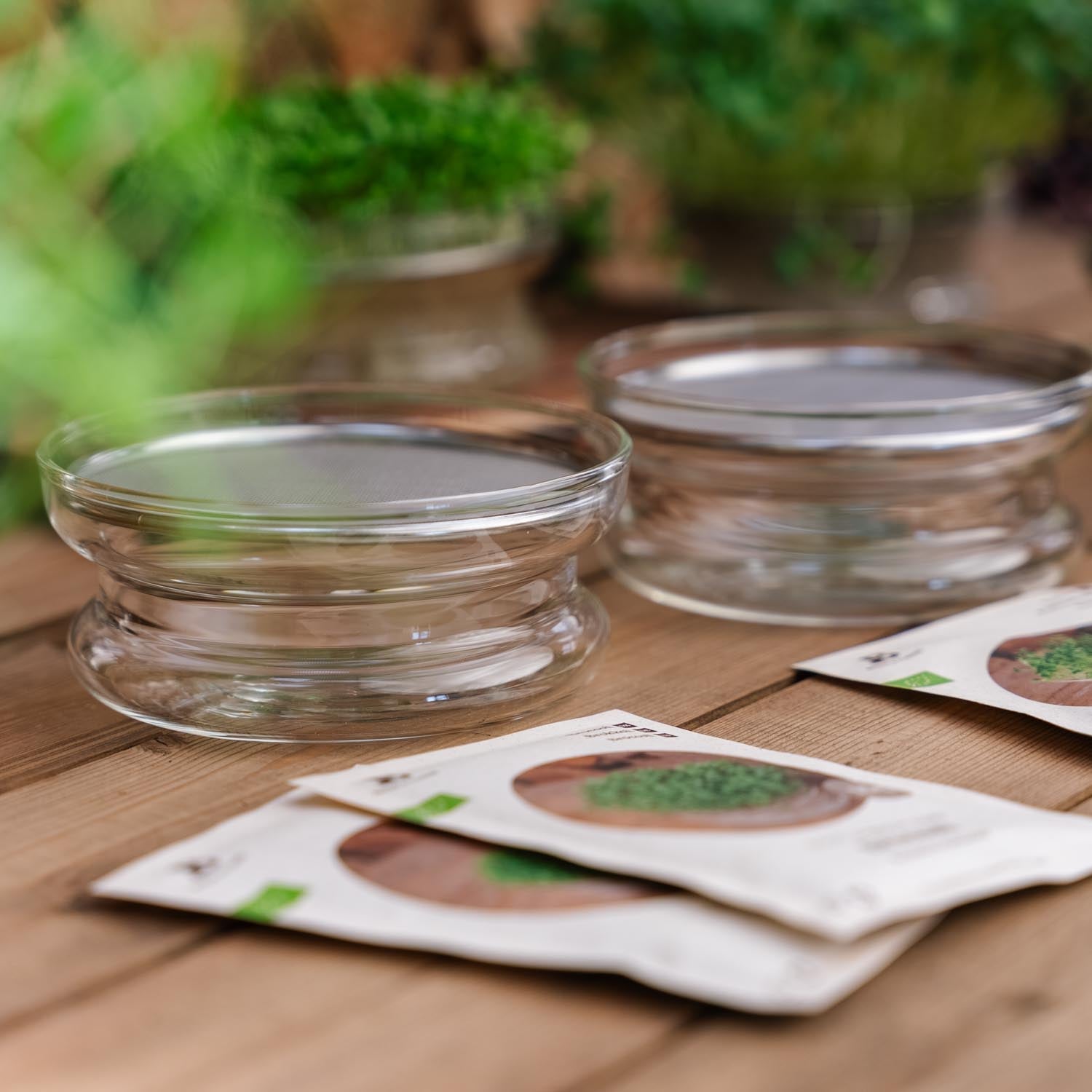 Kit concours de micro - pousses avec coupelle de germination - 4 sachets de graines biologiques