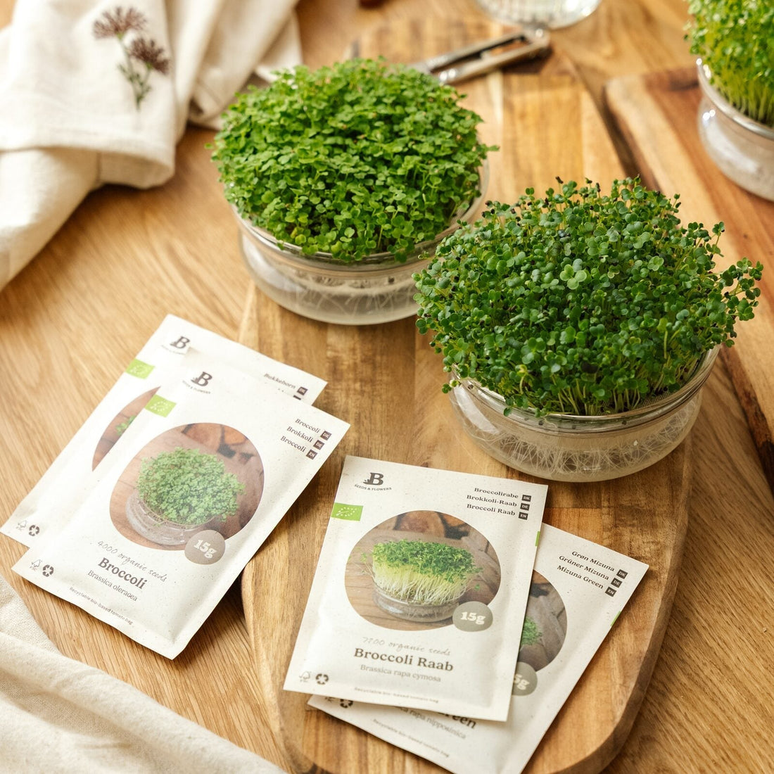 Kit concours de micro-pousses avec coupelle de germination - 4 sachets de graines biologiques