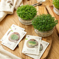Kit concours de micro-pousses avec coupelle de germination - 4 sachets de graines biologiques