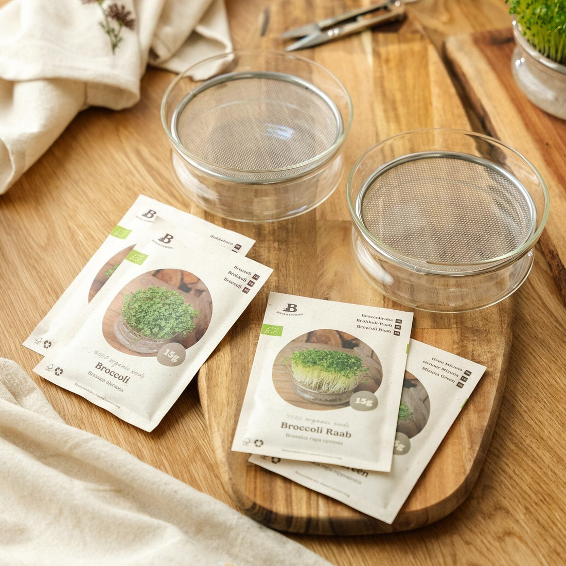 Kit concours de micro-pousses avec coupelle de germination - 4 sachets de graines biologiques
