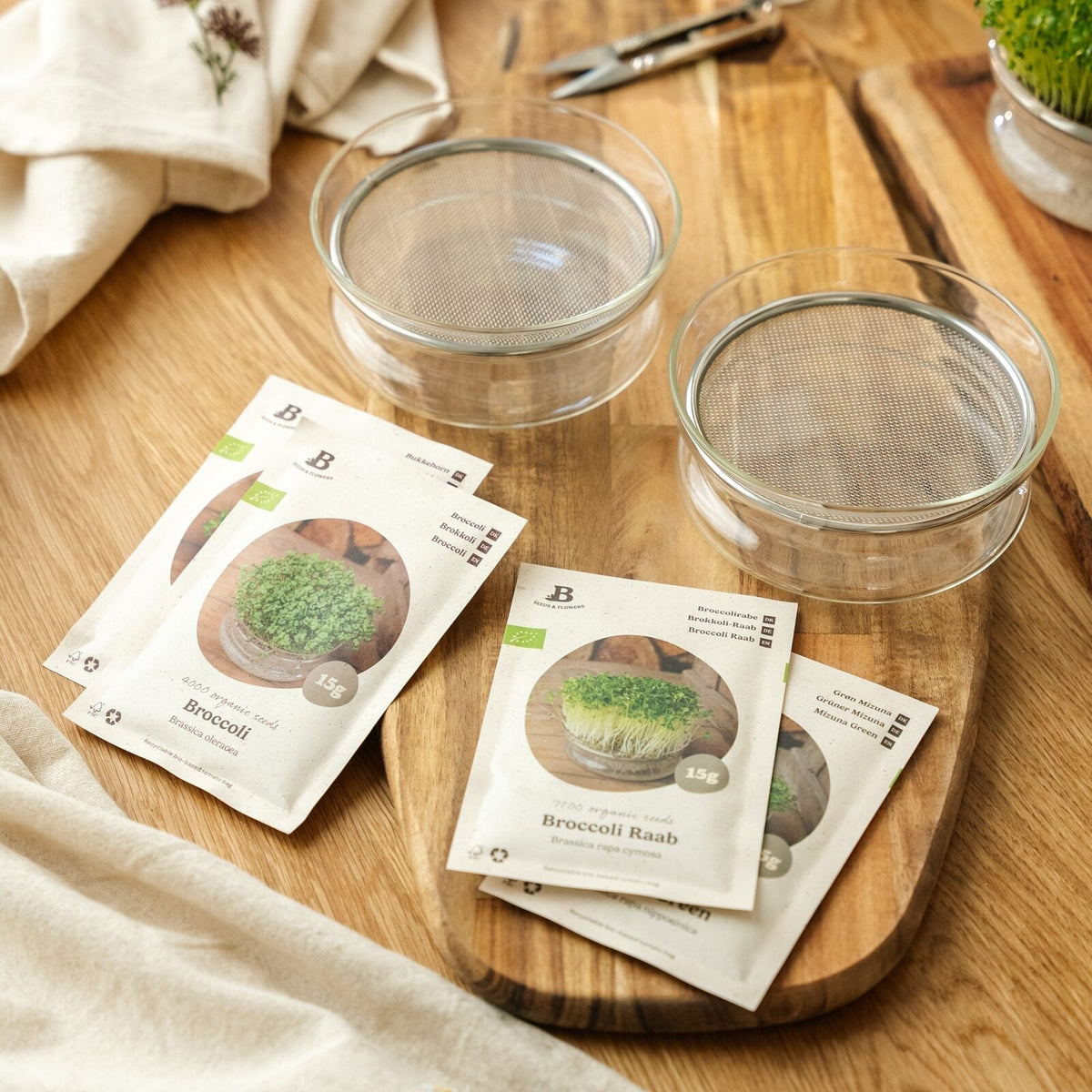 Kit concours de micro-pousses avec coupelle de germination - 4 sachets de graines biologiques