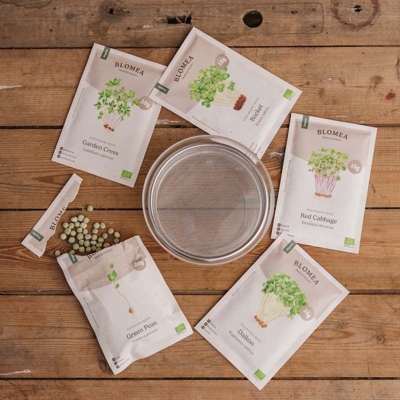 La caisse de micro - pousses avec chou à germes