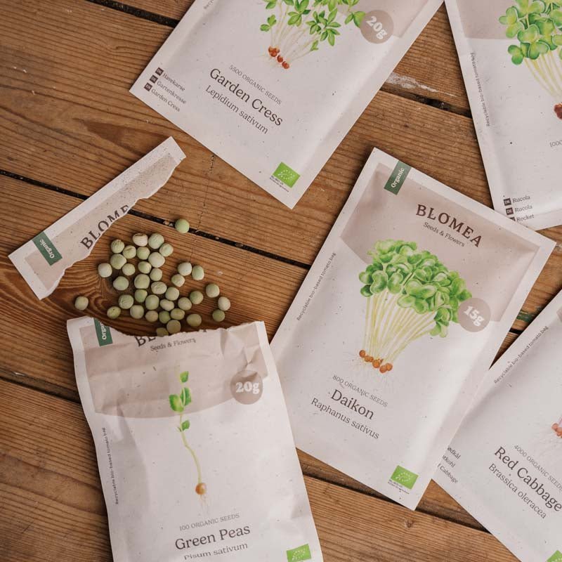 La caisse de micro - pousses avec chou à germes