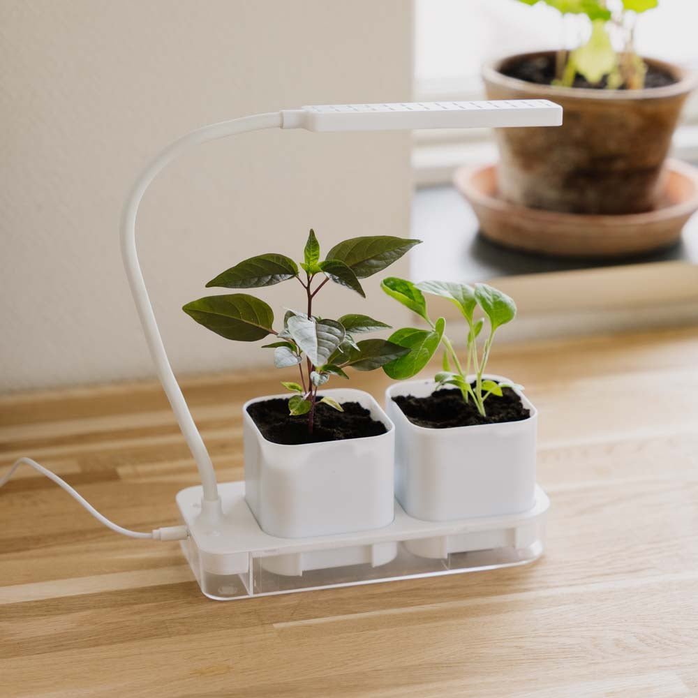 Lampe de croissance avec 2 pots, L : 22,5 cm, l : 9 cm, H : 28,5 cm