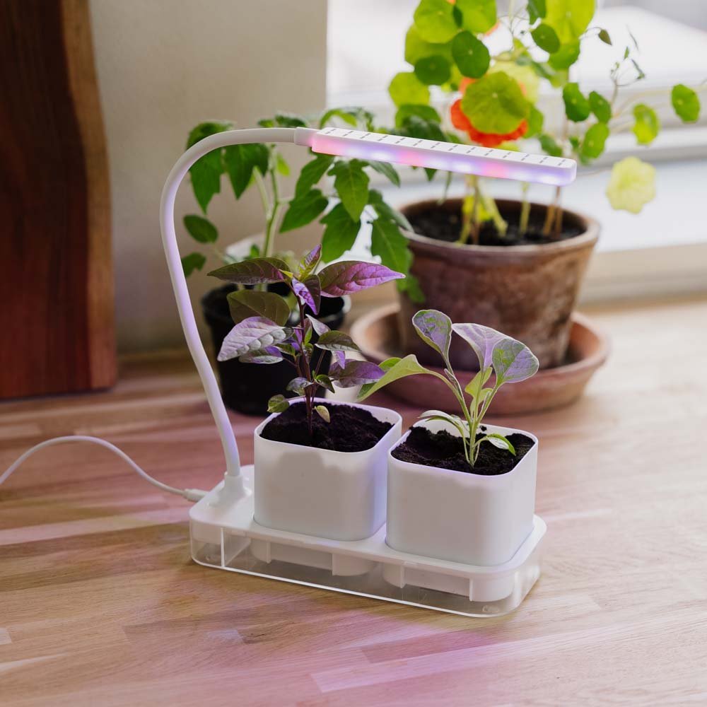 Lampe de croissance avec 2 pots, L : 22,5 cm, l : 9 cm, H : 28,5 cm