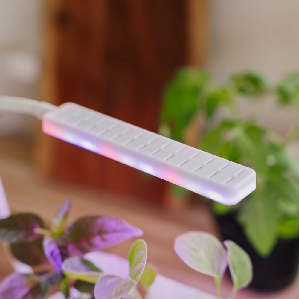 Lampe de croissance avec 2 pots, L : 22,5 cm, l : 9 cm, H : 28,5 cm