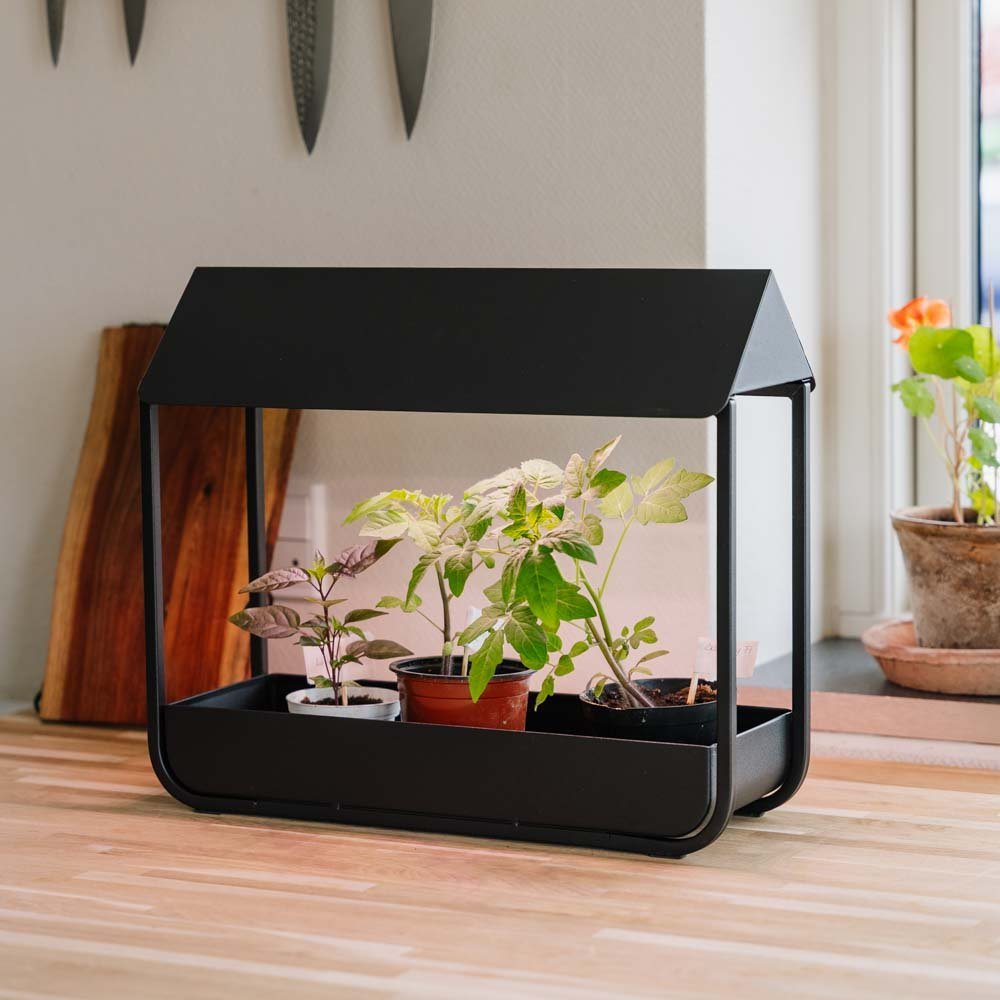 Lampe de croissance noire, L : 17,5 cm, l : 42,4 cm, H : 36.5 cm