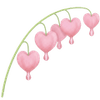 Coeur de marie tubercules / Dicentra