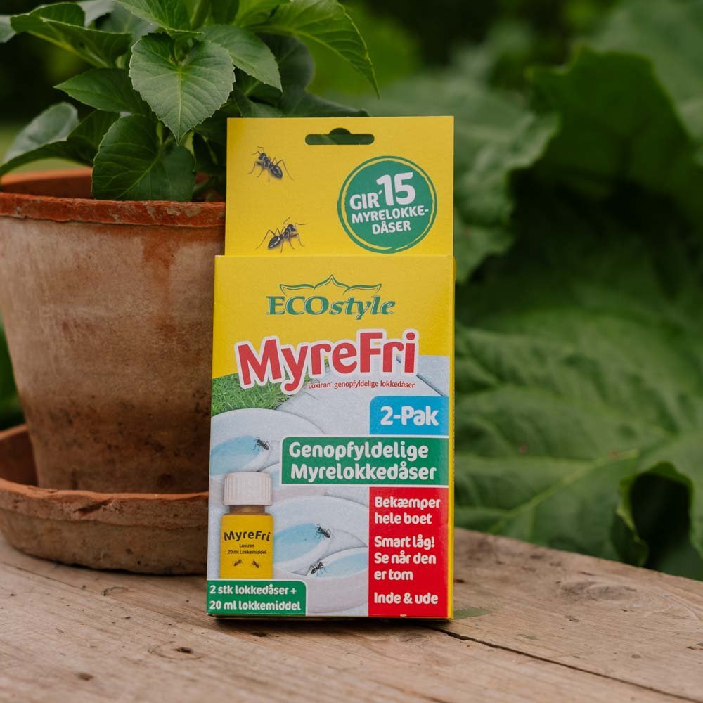 Lot de 2 boîtes d'appâts rechargeables anti - fourmis