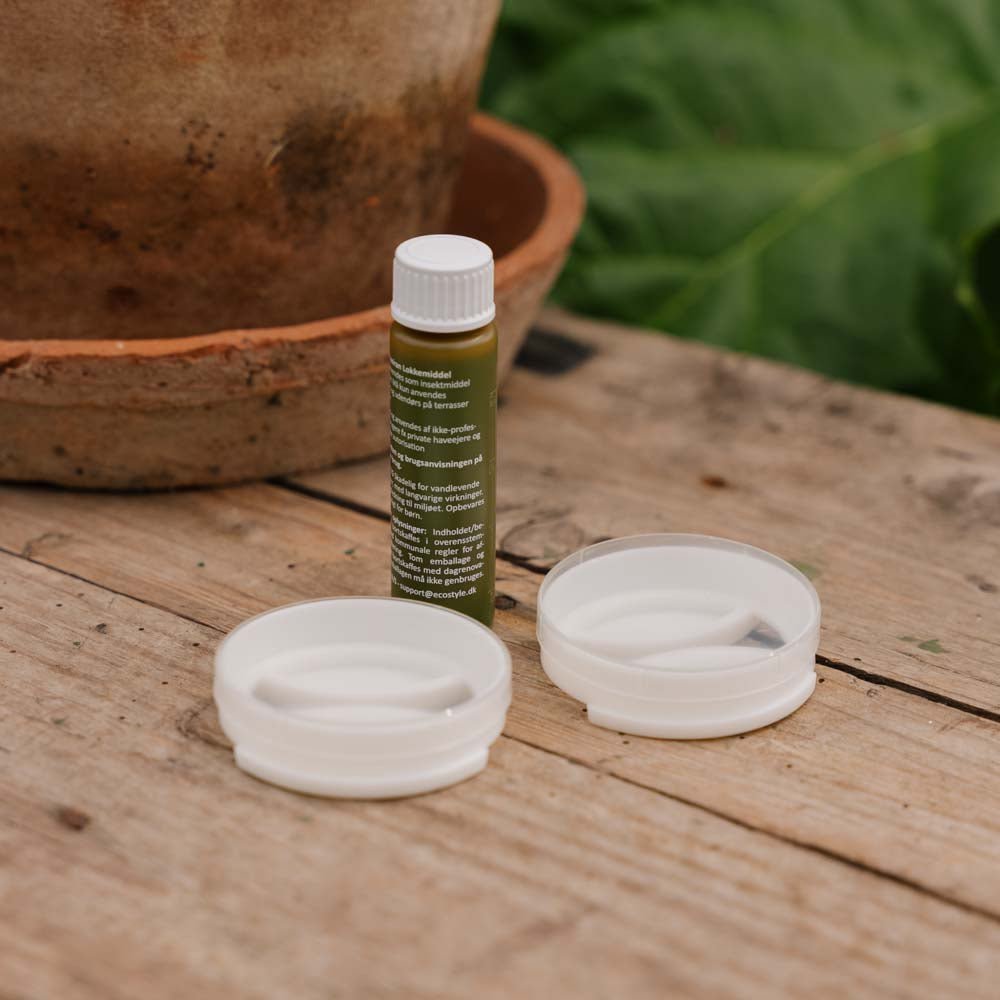 Lot de 2 boîtes d'appâts rechargeables anti - fourmis