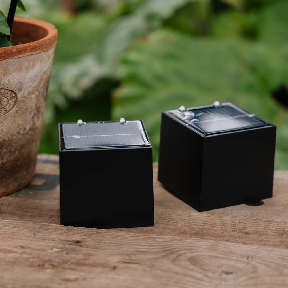 Lot de 2 lampes solaires Cube Up and Down