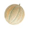 Graines de légumes
