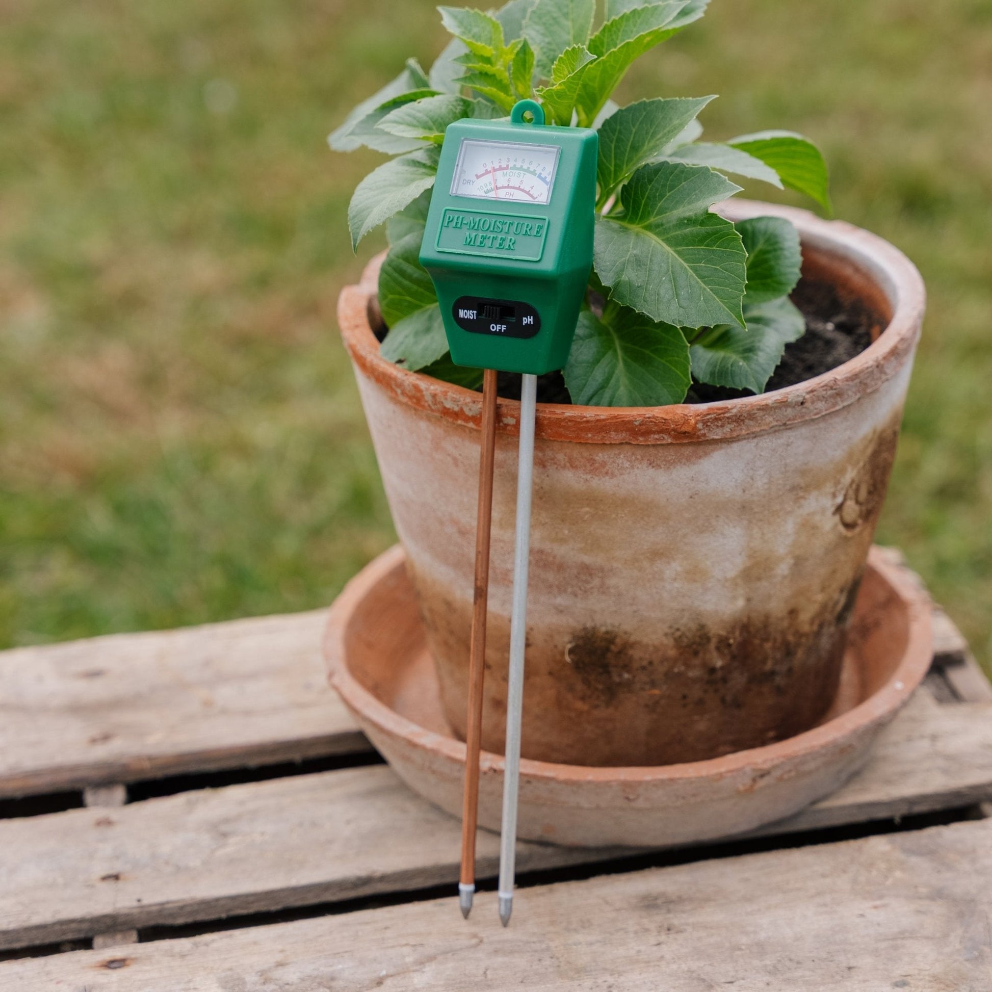 Mesureurs de pH et d'humidité