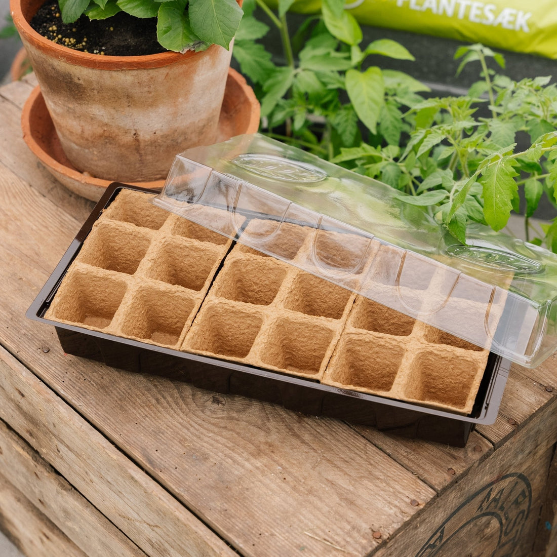 Mini serre, 18 pièces