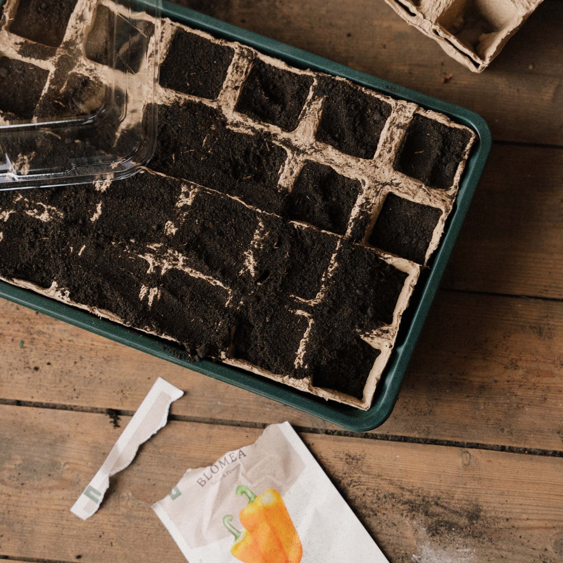 Mini - serre, grande