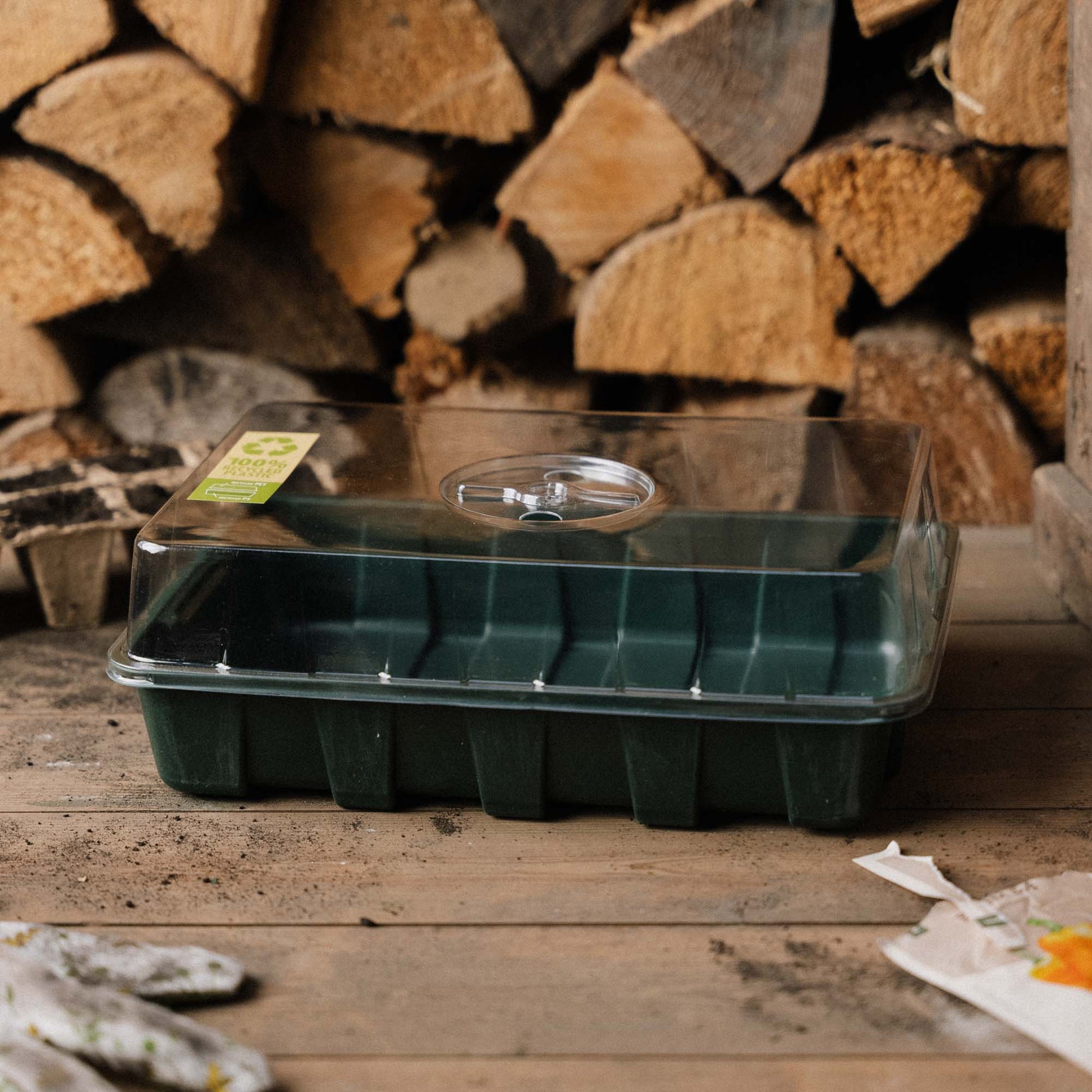 Mini - serre, grande