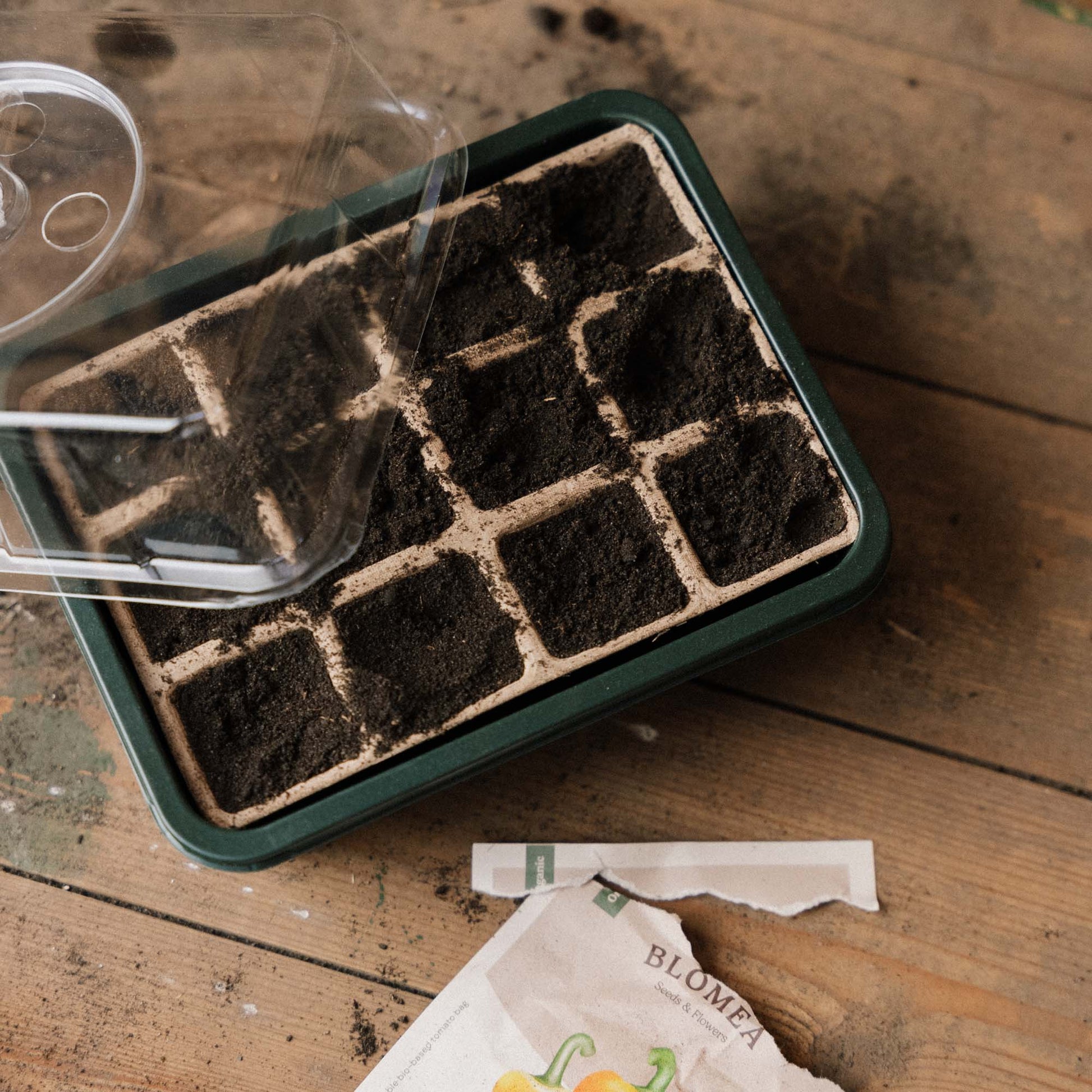 Mini - serre, petite