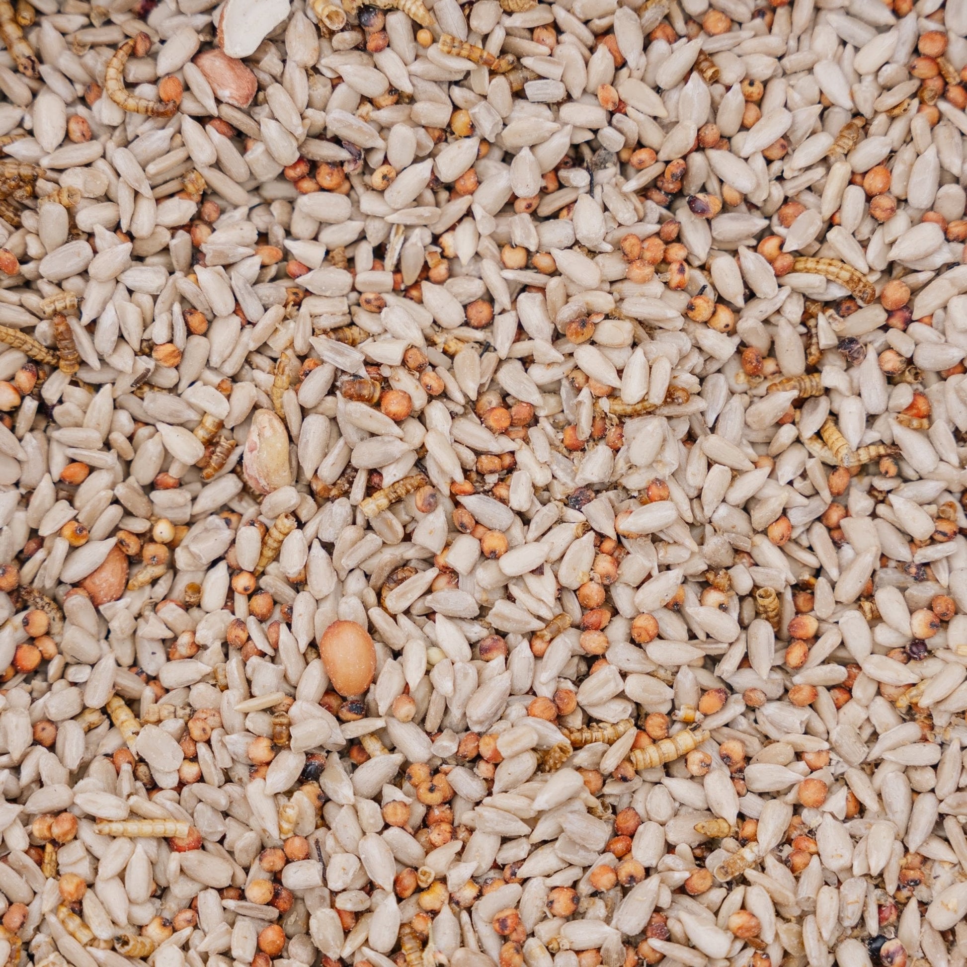 Nourriture pour oiseaux, festin de luxe, 5 L