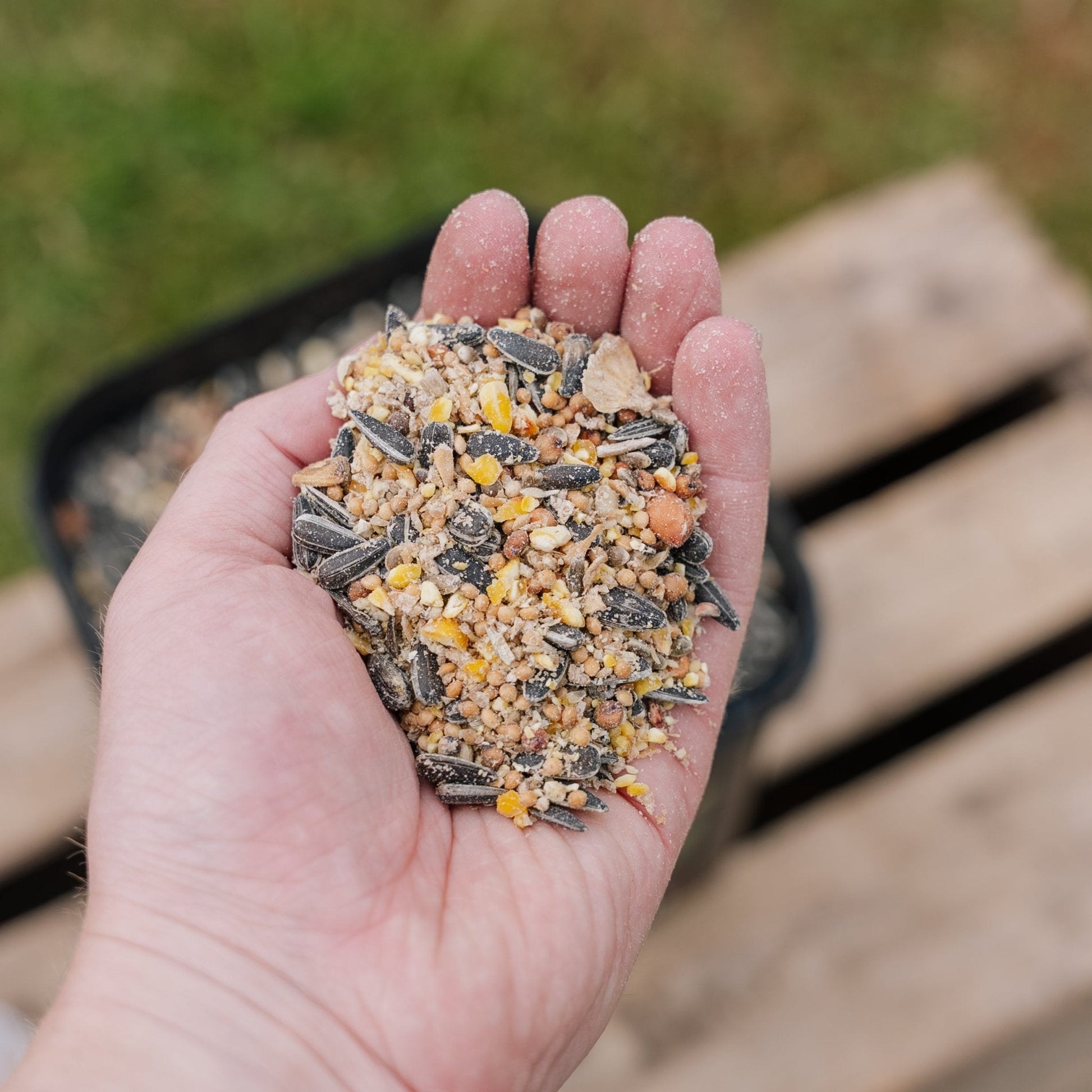 Nourriture pour oiseaux, mélange de luxe toute l'année, 5 L