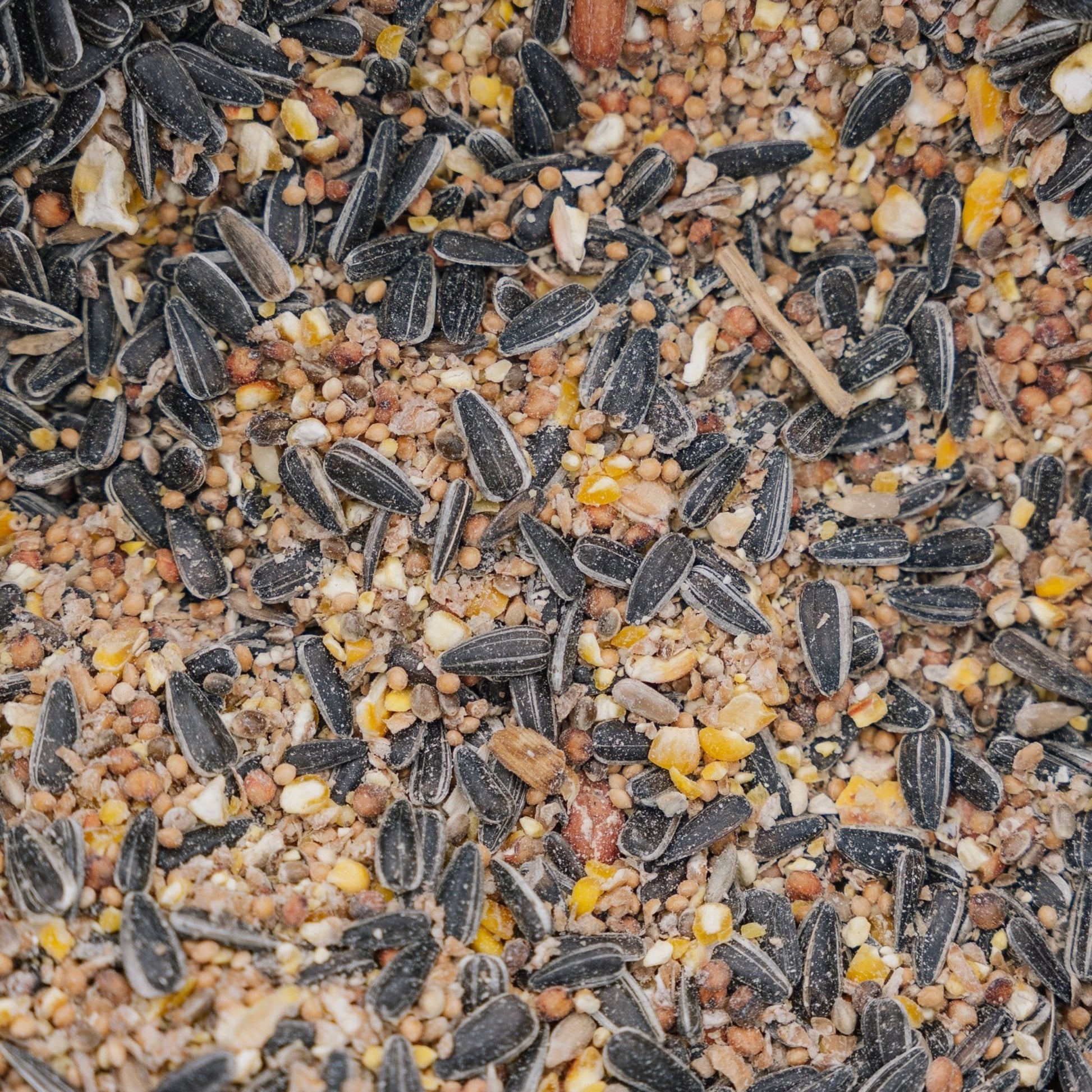 Nourriture pour oiseaux, mélange de luxe toute l'année, 5 L