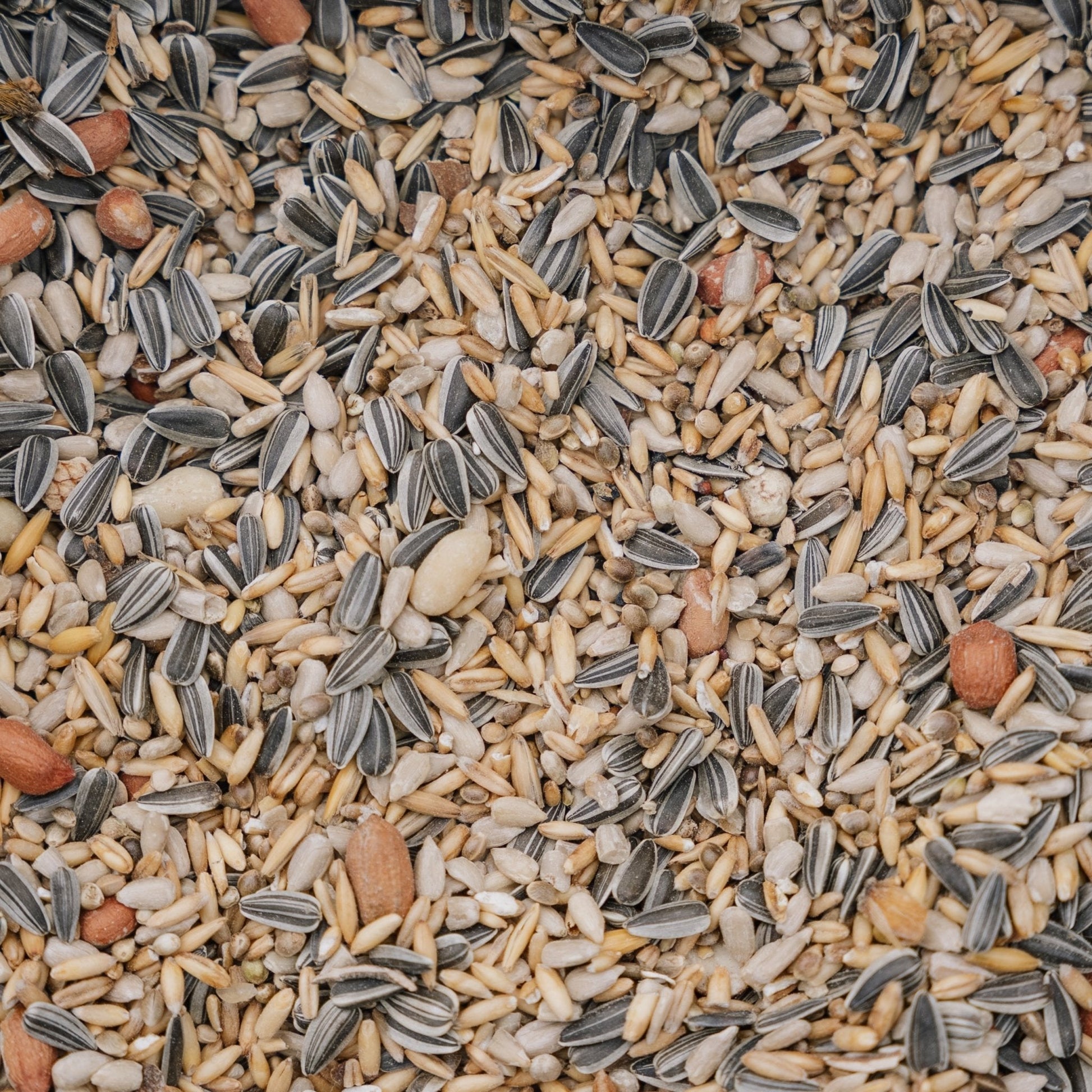 Nourriture pour oiseaux, mélange Energy de luxe, 5 L