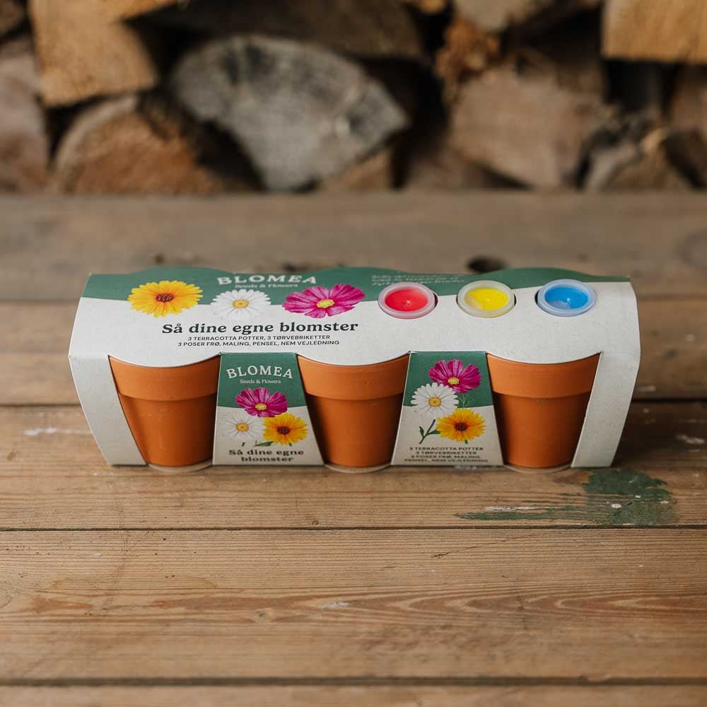 Pack créatif de fleurs