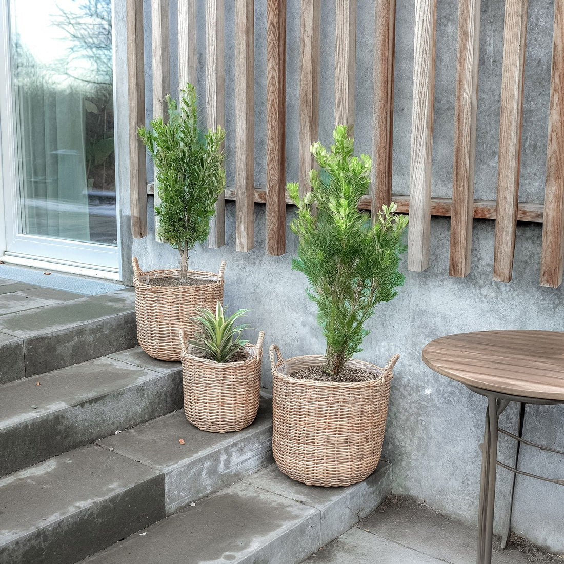 Paniers à plantes en rotin naturel, lot de 3