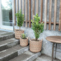 Paniers à plantes en rotin naturel, lot de 3