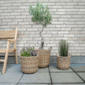 Paniers à plantes en rotin naturel, lot de 3