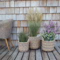 Paniers à plantes en rotin naturel, lot de 3