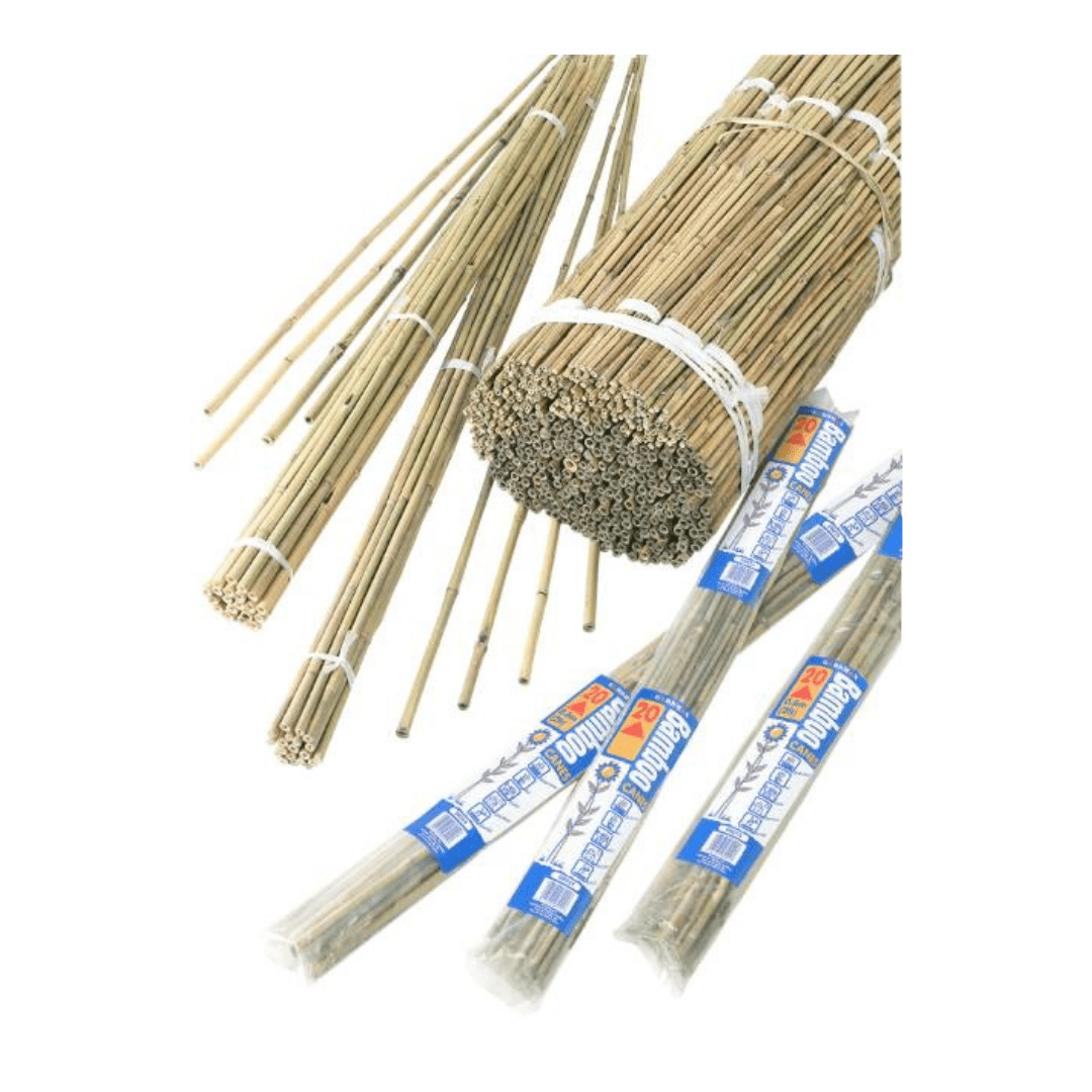 Paquet de bâtons en bambou, L 60 cm, 20 pièces