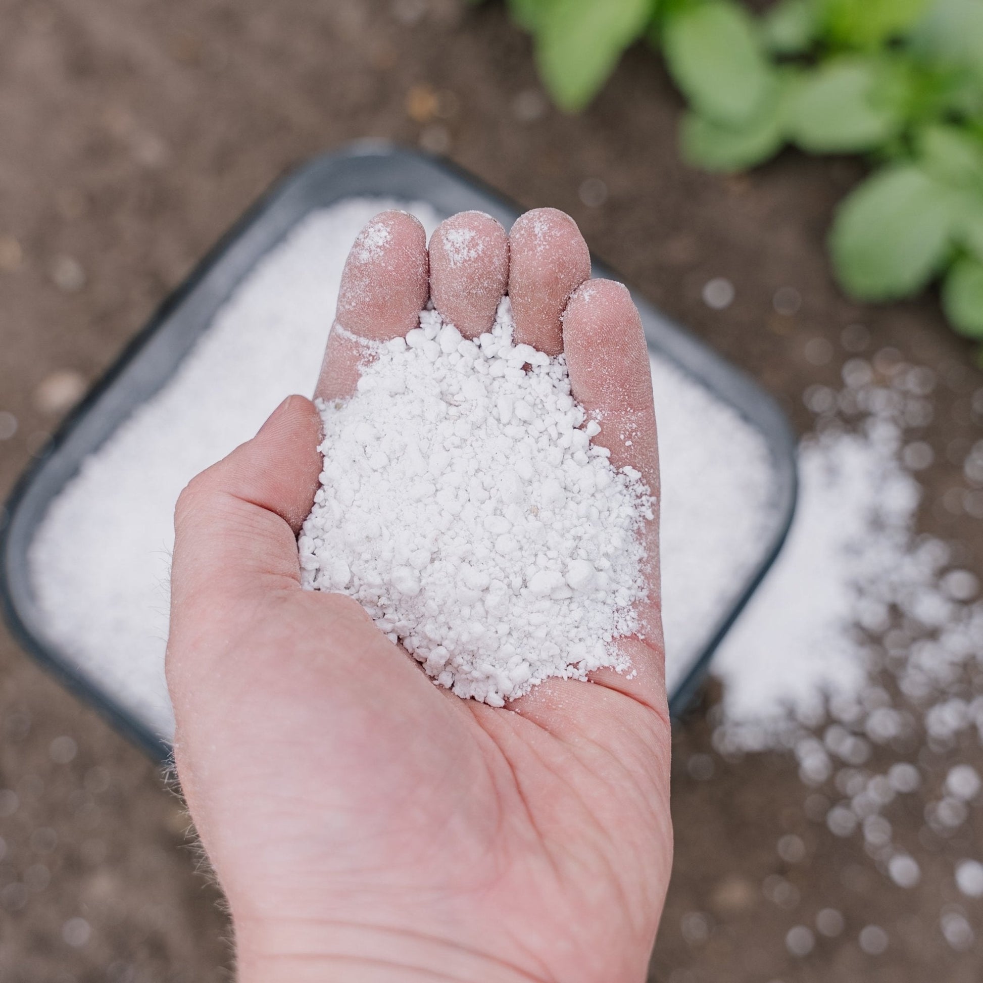 Perlite 5 L