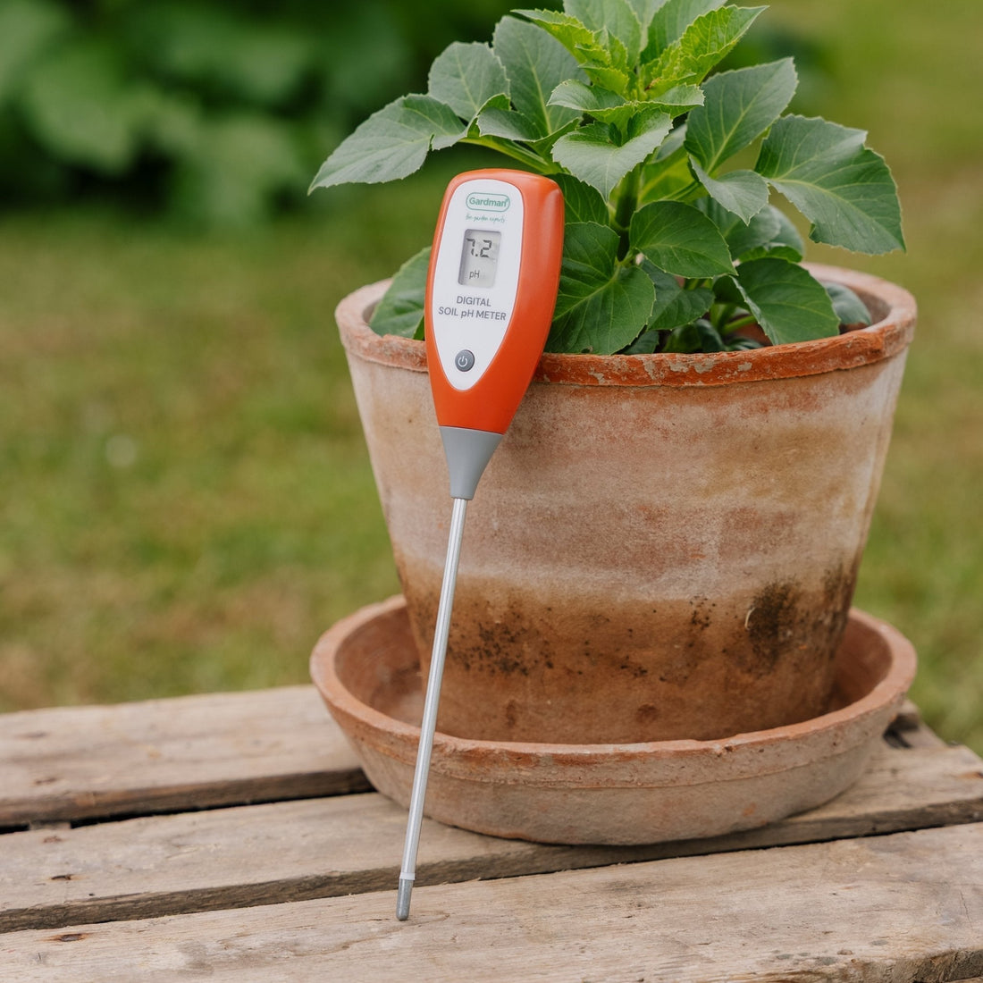 pH - mètre numérique