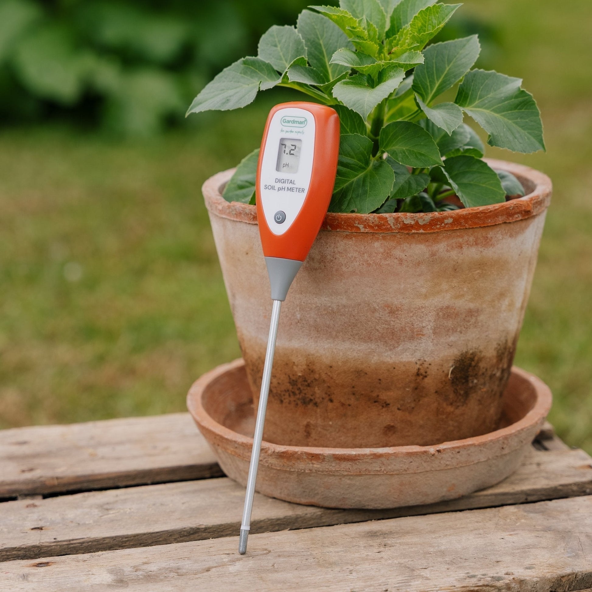 pH - mètre numérique